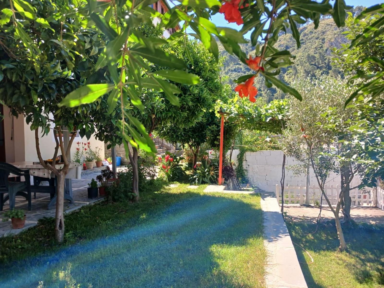 Guest House Noah&Kristel Berat Exterior foto